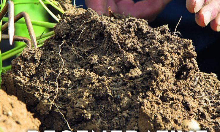 Regenerative Landwirtschaft - Ein Plädoyer für eine nachhaltige Bodenkultur - Dietmar Näser- Verlag: Eugen Ulmer