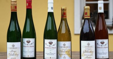 Online-Weinprobe Rheingau & Baden mit den Weingütern Stigler und Domdechant Wernerschen - Foto: Weingut Stigler