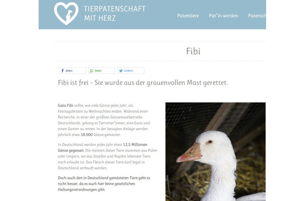Tierpatenschaft mit Herz - Die Rettung der Fibi - Screenshot: DeinEnergieportal
