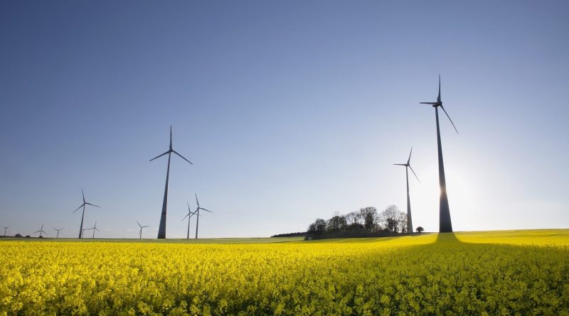 Im letzten Jahr haben die erneuerbaren Energien etwa 42 Prozent des Stromverbrauchs gedeckt