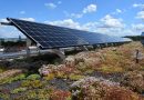 Solargründächer kombinieren Dachbegrünungen mit Photovoltaik