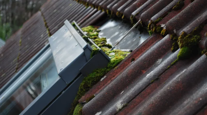 Gut gewartet durch Herbst und Winter: Dachfenster professionell prüfen lassen