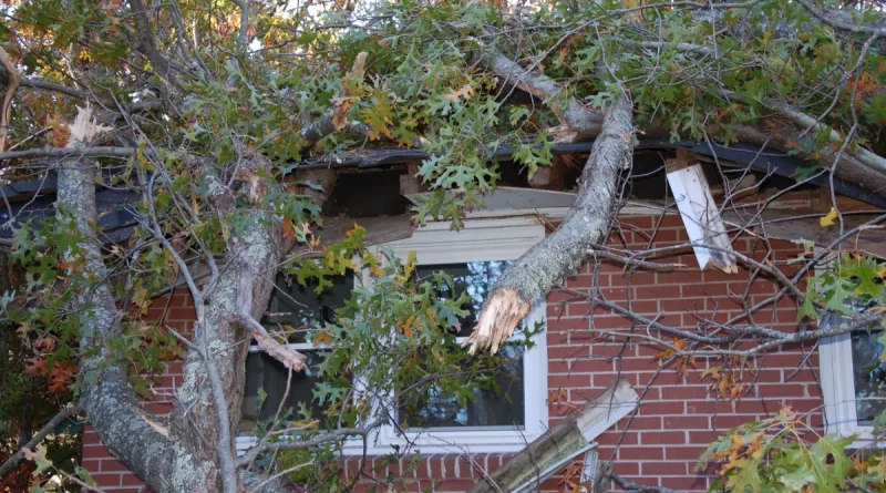 Richtig reagieren bei Sturm: Was Hausbesitzer beachten müssen
