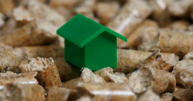 25 Jahre DEPV: Moderne Holzenergie als Schlüssel für Versorgungssicherheit und bezahlbare Energiewende