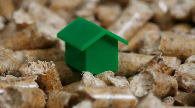 25 Jahre DEPV: Moderne Holzenergie als Schlüssel für Versorgungssicherheit und bezahlbare Energiewende