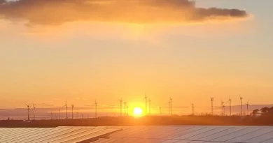 Tangerhütte als Energie-Kommune des Monats ausgezeichnet