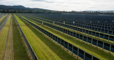 Next2Sun AG startet Aktienemission für weiteres Wachstum