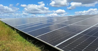 Vattenfall eröffnet Solarpark Nauen: Strom für Industriepartner Wieland Gruppe