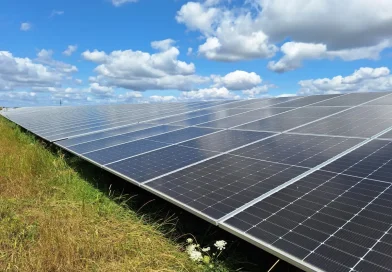 Vattenfall eröffnet Solarpark Nauen: Strom für Industriepartner Wieland Gruppe