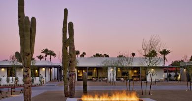 Architektur-Oase Scottsdale: Wo Wüste auf Welterbe und Design-Ikonen trifft